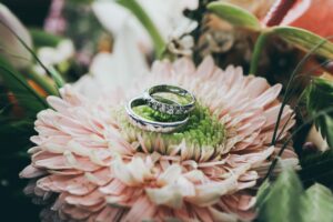 Silver wedding bands laying on a large pink flower