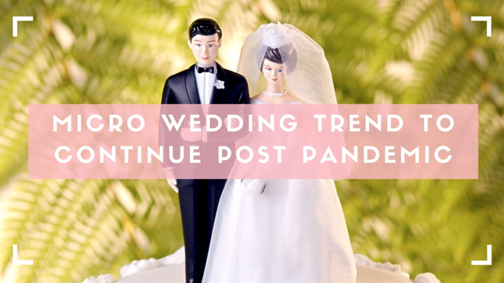 micro wedding explainer blog header