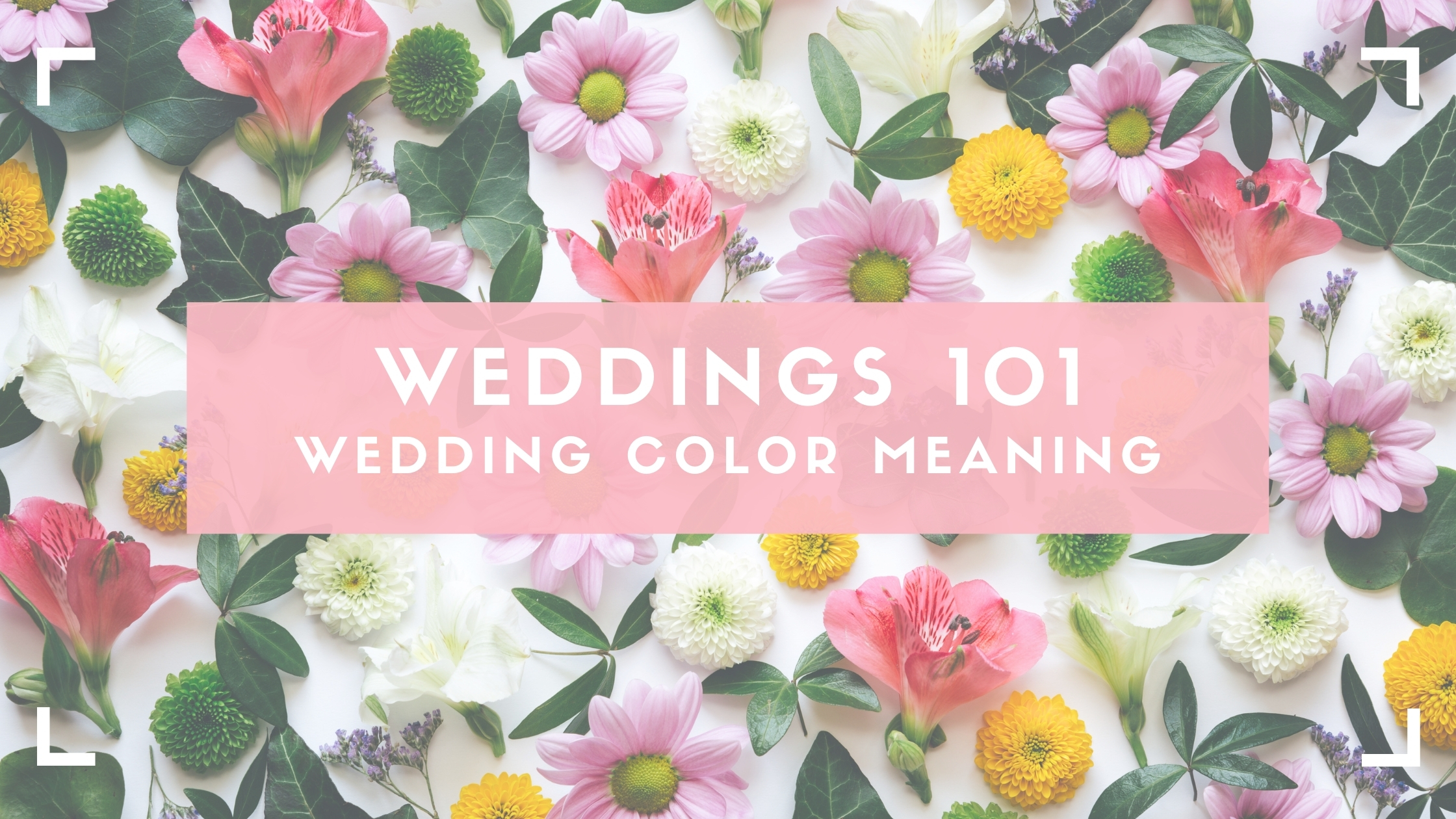 Bodas 101: Significado de los colores de la boda - The Wedding Planner  Institute