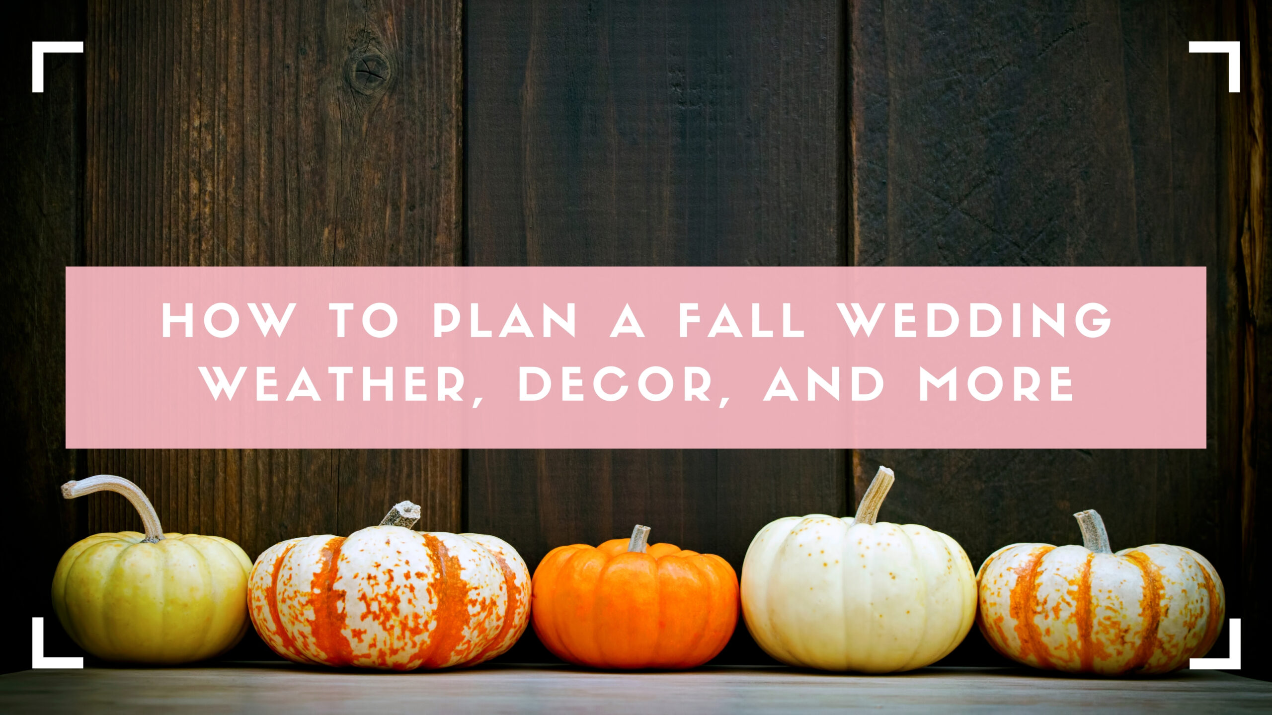 Decoración de bodas de otoño, calabazas cabecera del blog
